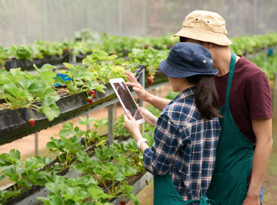 Accessing Agricultural Business Loans For Farmers and Growers